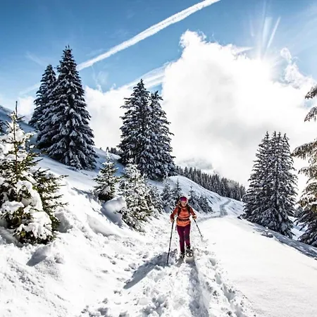Apartmán Christina Cr19 Family & Mountain 3 Pers Châtel